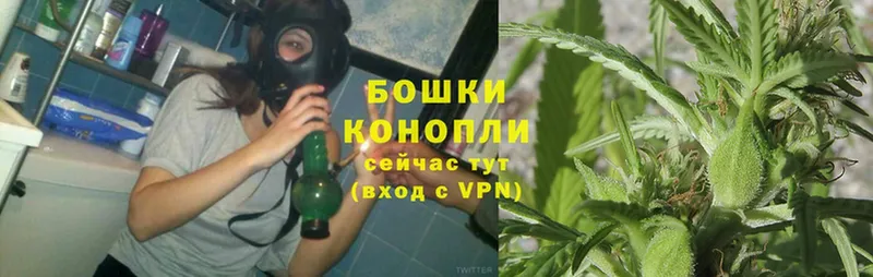 маркетплейс наркотические препараты  Серафимович  МАРИХУАНА THC 21% 